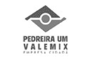 Valemix